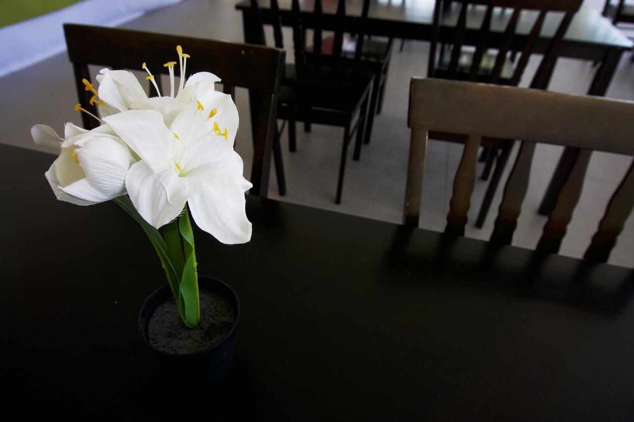 Milvus Hotel กัวห์ ภายนอก รูปภาพ